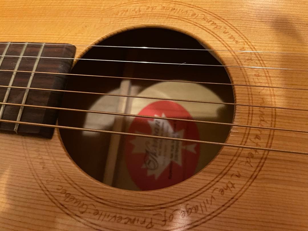 ギター Norman Expedition Nat Folk Solid Spruce