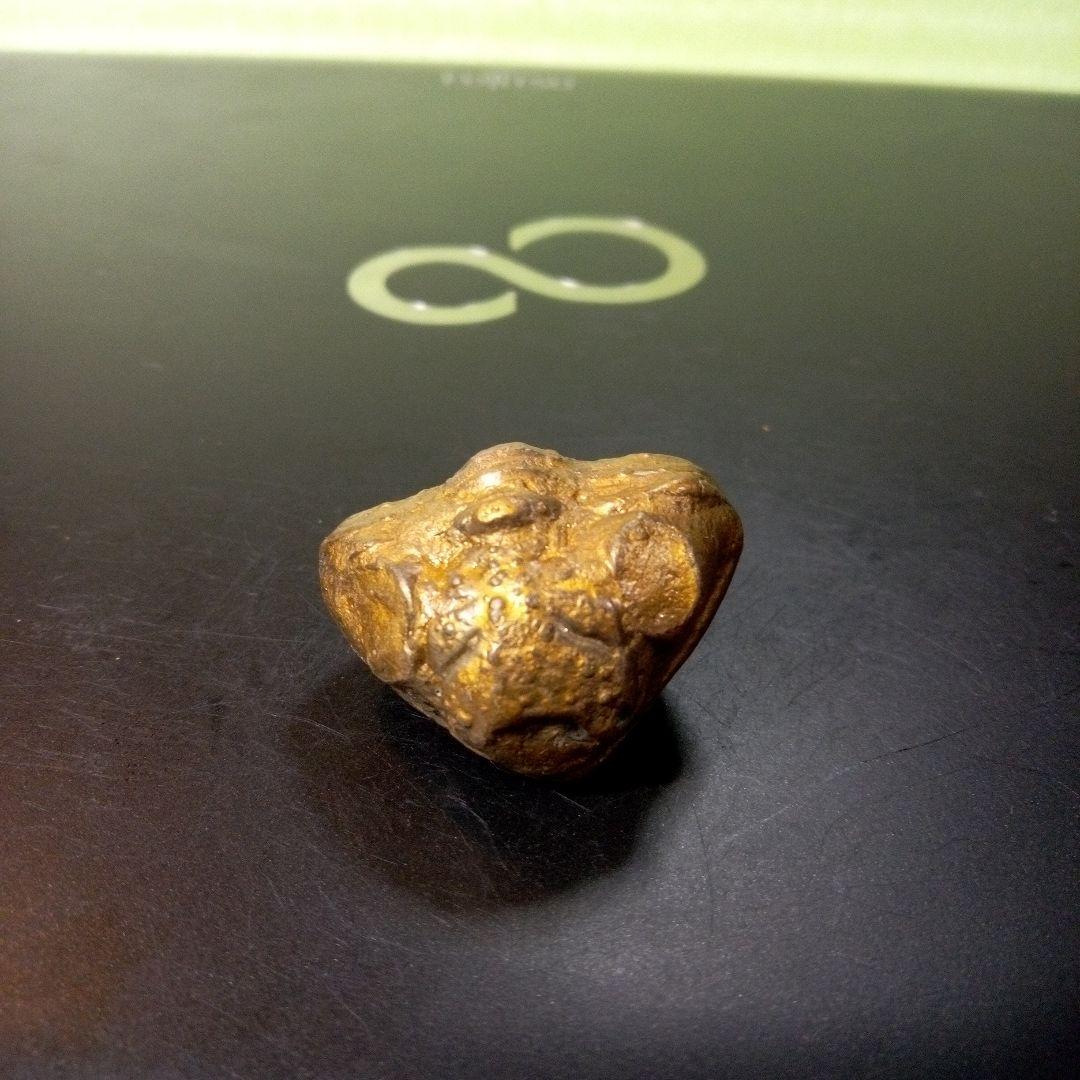 三葉虫　化石　fossil　ボリビア産　レア　Fossil管理⑤