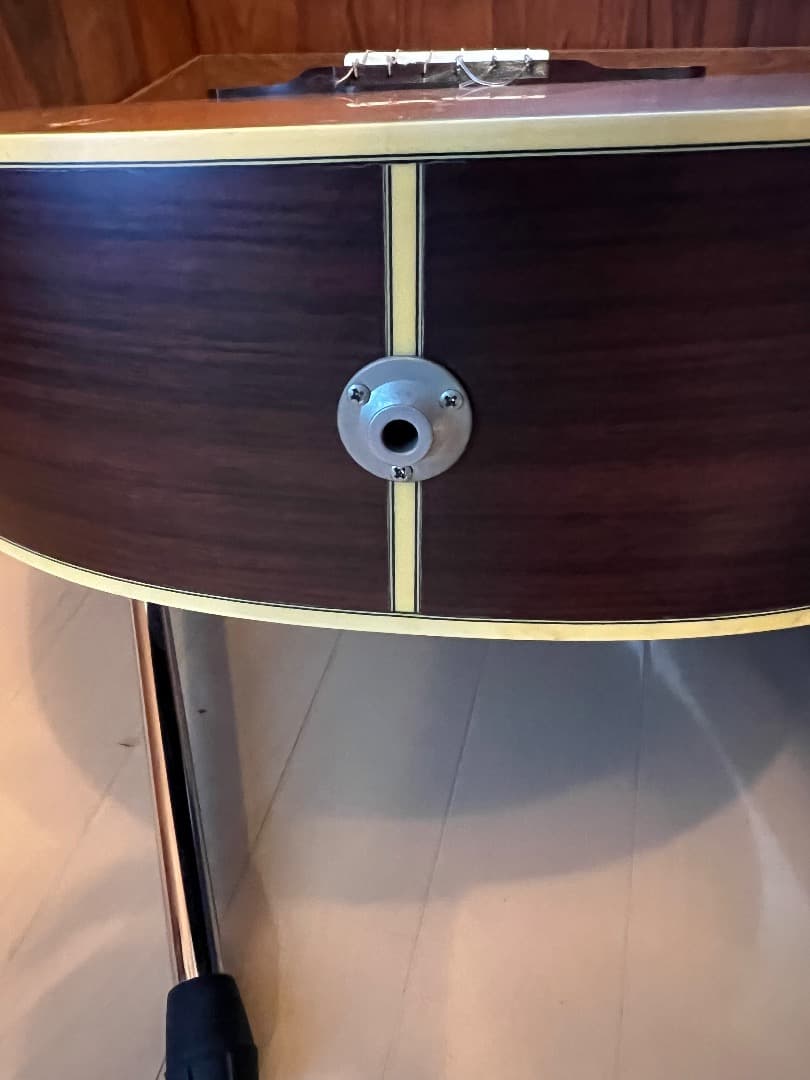 TAKAMINE NPT-110 エレガット