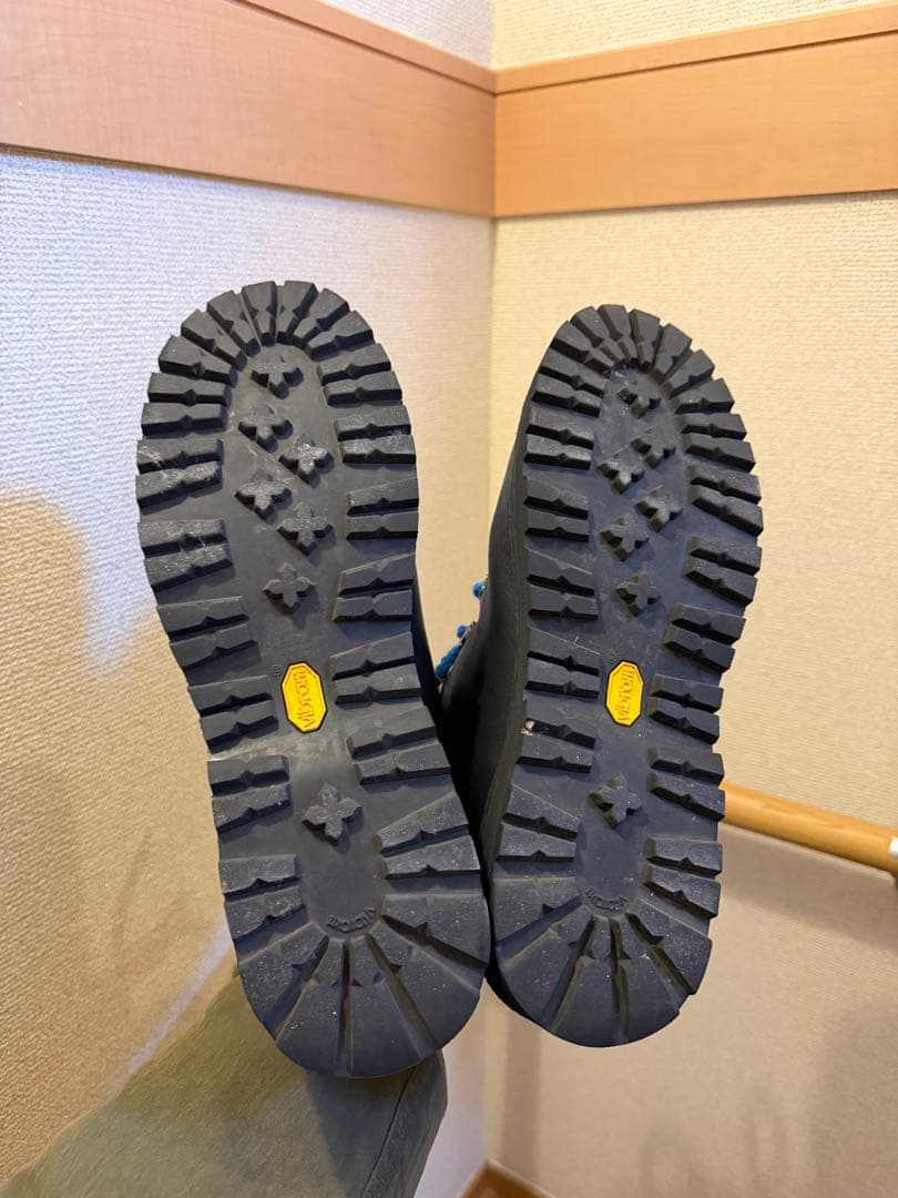 靴 Danner Trail field boots