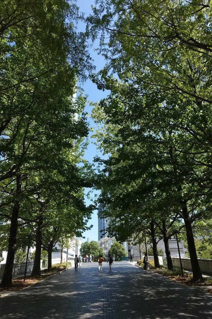 デジタルカメラ SONY Cyber-shot RX100III(DSC-RX100M3)