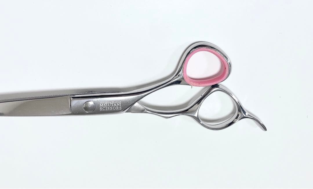 ミズタニシザーズ