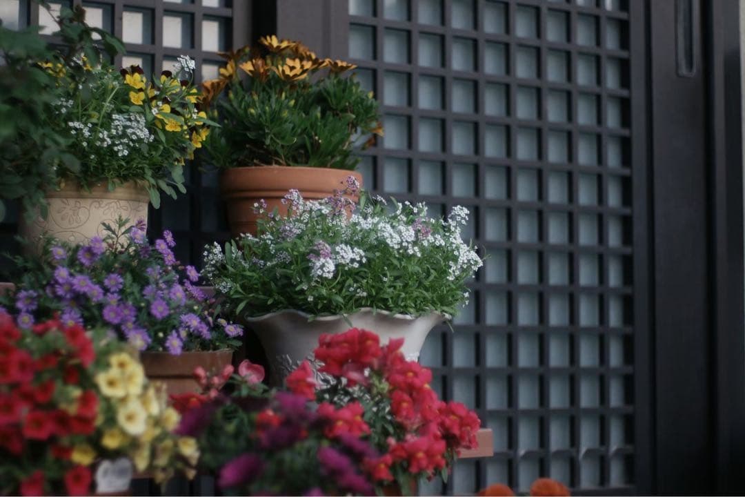 SONY α700 デジタル一眼　動作品　50ミリ単焦点マクロ、望遠レンズ付き