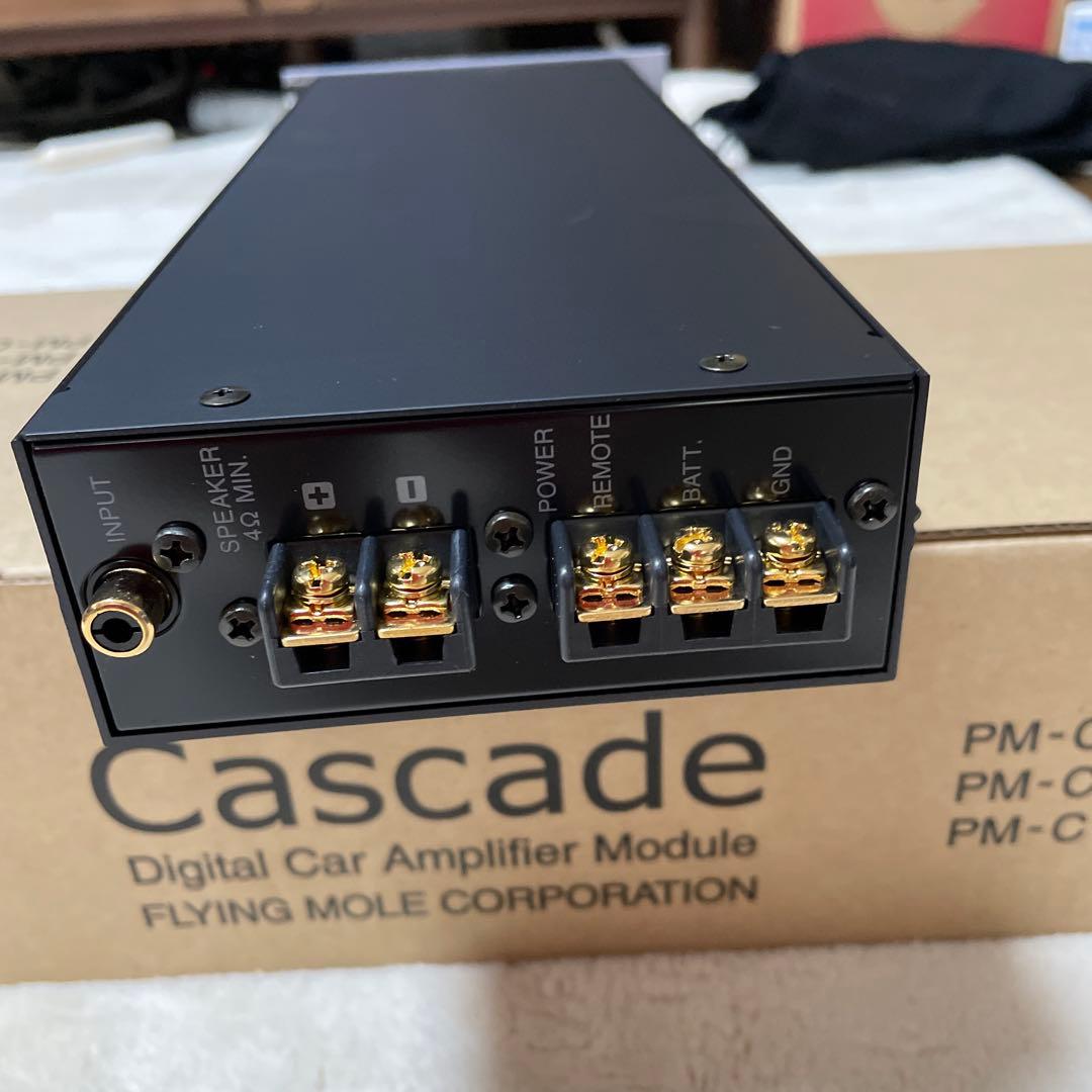 デジタルアンプ　フライングモール PM-C161dc