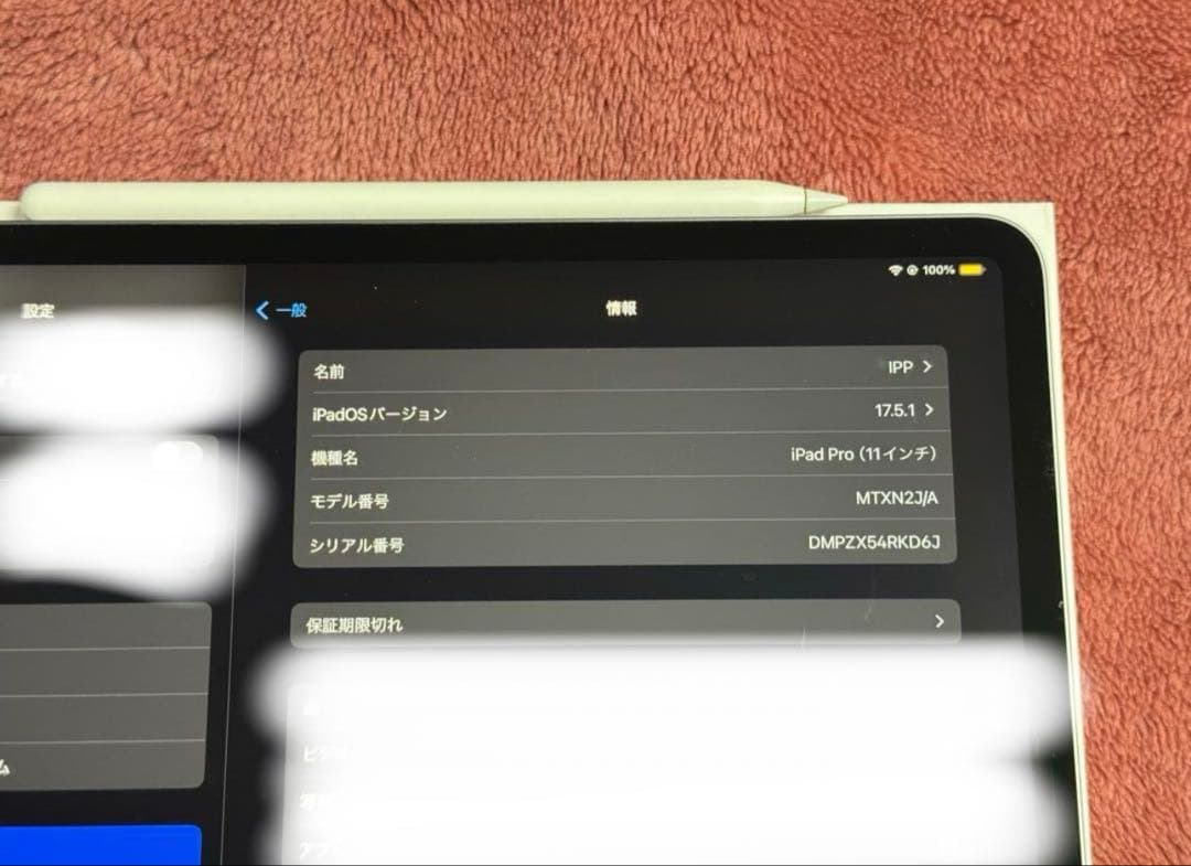iPad Pro 11インチ 第1世代 64GB スペースグレイ