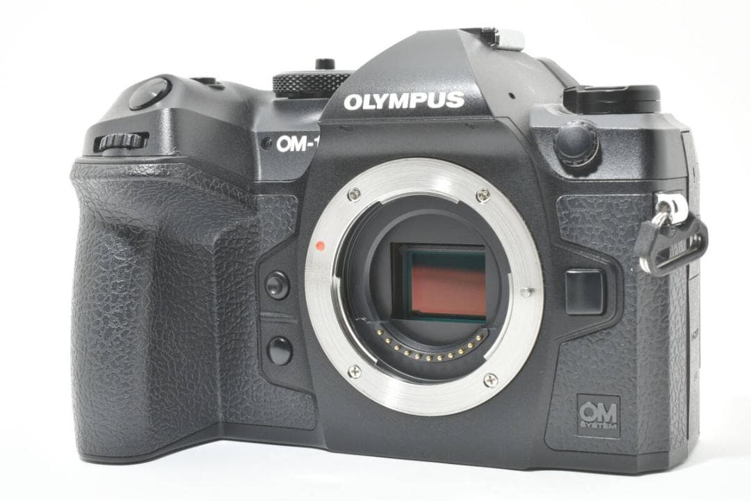 ショット数:4367回 OLYMPUS OM SYSTEM OM-1 #1060