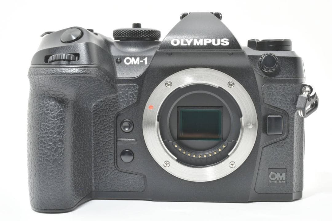 ショット数:4367回 OLYMPUS OM SYSTEM OM-1 #1060