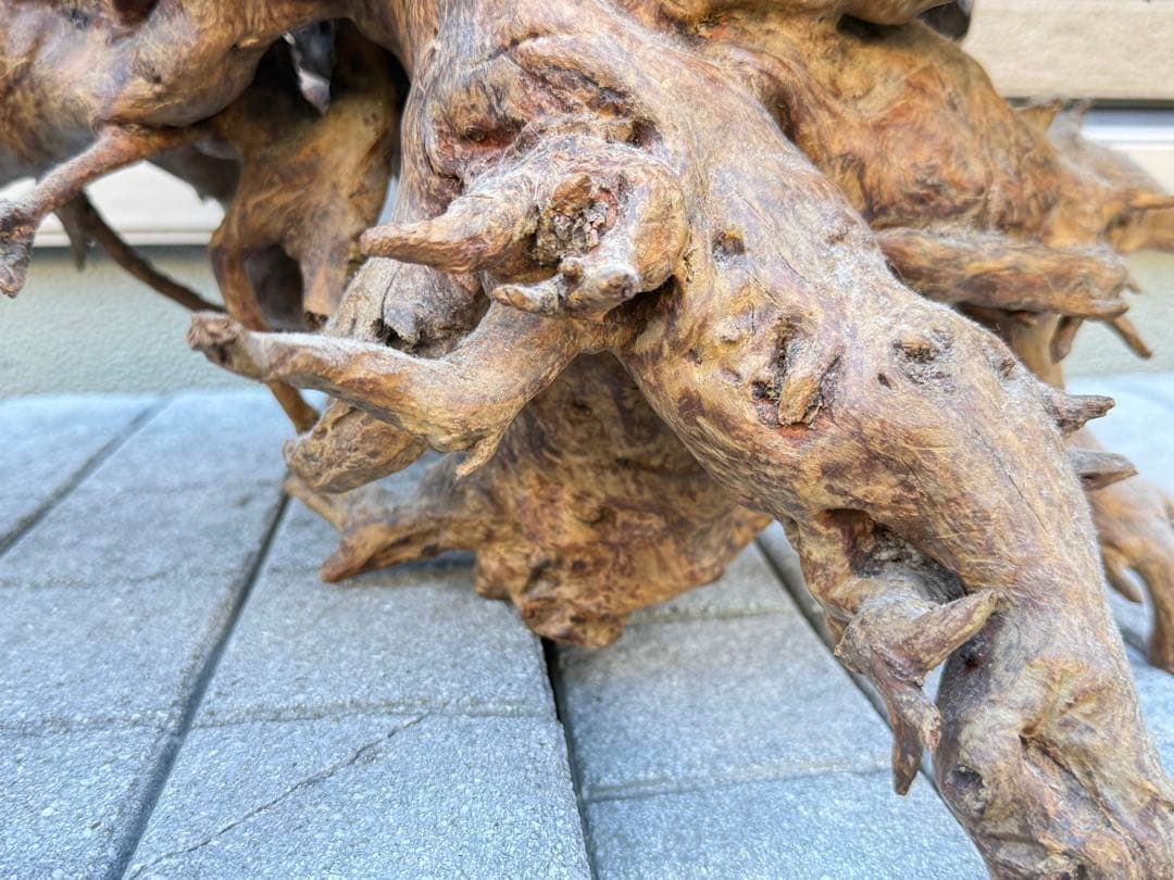 【送料込み】一点モノ★流木　置物　猪　オブジェ　ドリフトウッド　インテリア