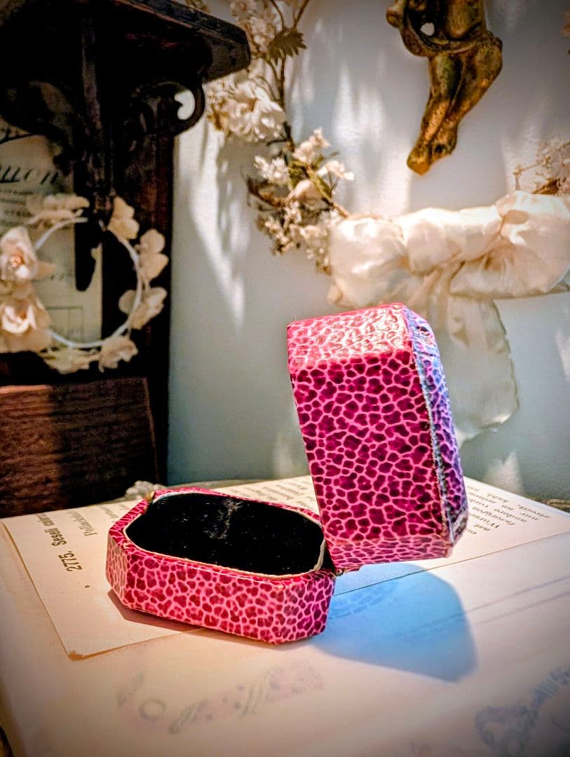 超メルカリ市限定✨️レア✨英国アンティーク リングケース