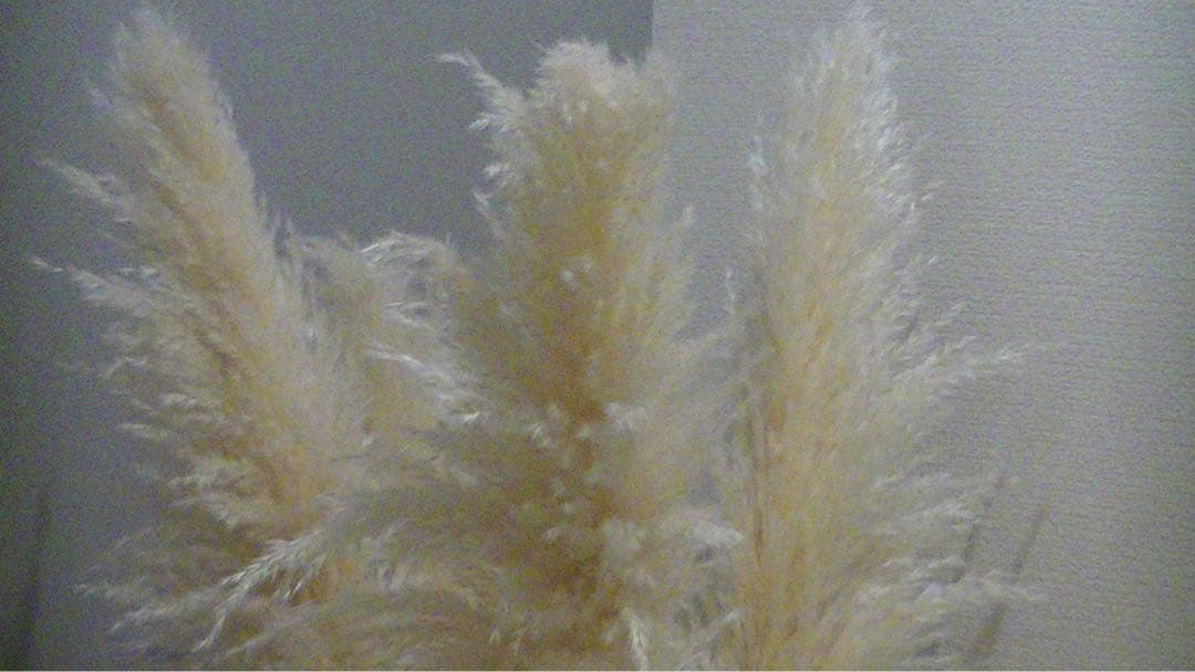 ♥︎◇JVC Everio GZ-HM460 ◇スマホ転送♪ ◇レッド