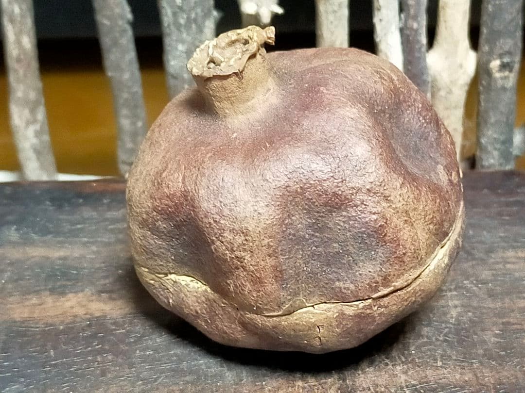 ♥武夫　柘榴　香合　共箱付き　ザクロ　水月窯　荒川豊蔵　骨董　古玩