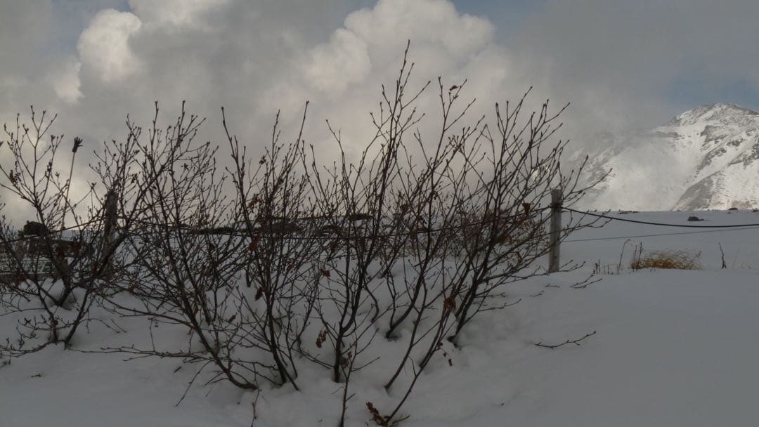 デジタルカメラ Panasonic LUMIX FX DMC-FX70-S