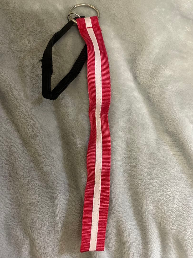 【milky time製】【ホロライブ　儒烏風亭らでん】　コスプレ衣装