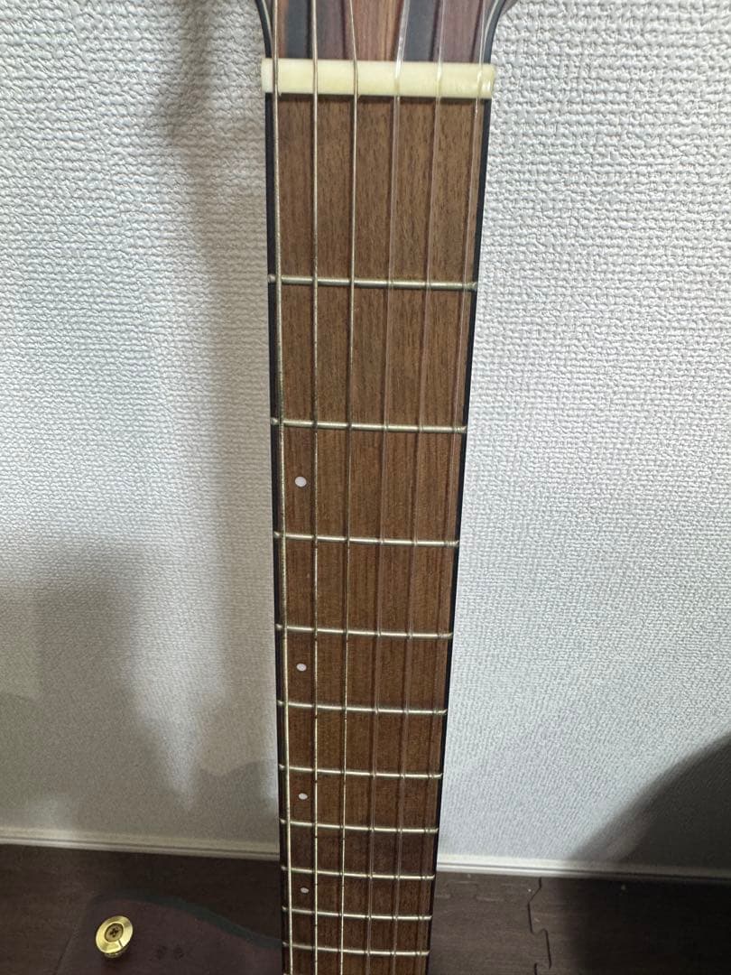 d*g様 Ibanez FRH10N BSF エレガットギター アイバニーズ　ケ