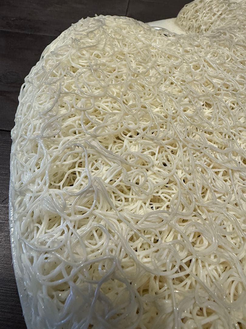 【綺麗め】構造医学研究財団　体圧反応座板　姿勢を良くする　座布団