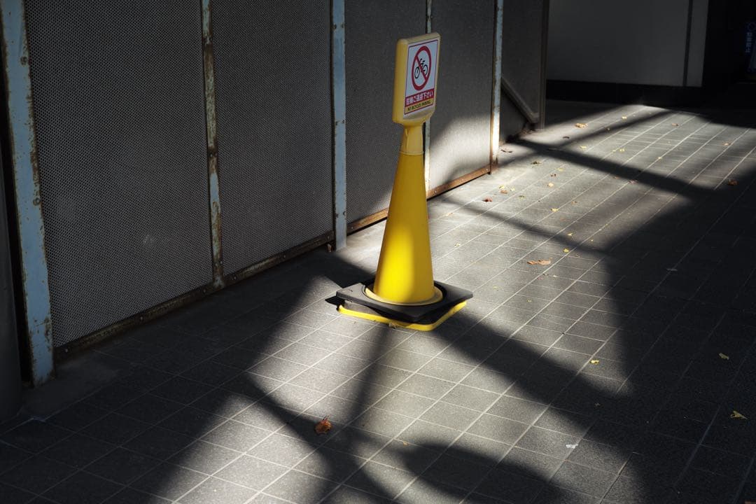 Leica 固定　ズミクロン　50mm F2