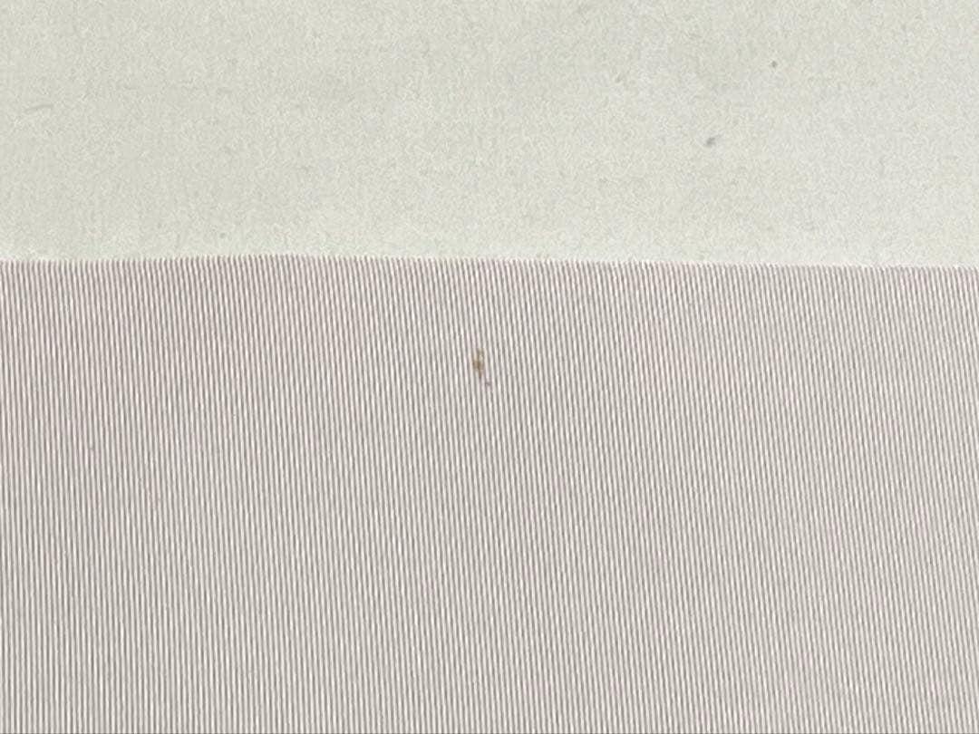 B5 塩瀬 作家物 落款入 ポピー 花模様 染め 紫 正絹 太鼓柄 名古屋帯