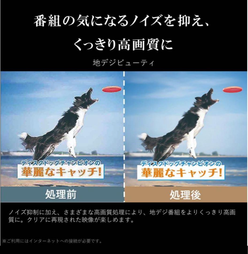 【超美品】REGZA E3 50E350M 50V 4K液晶テレビ