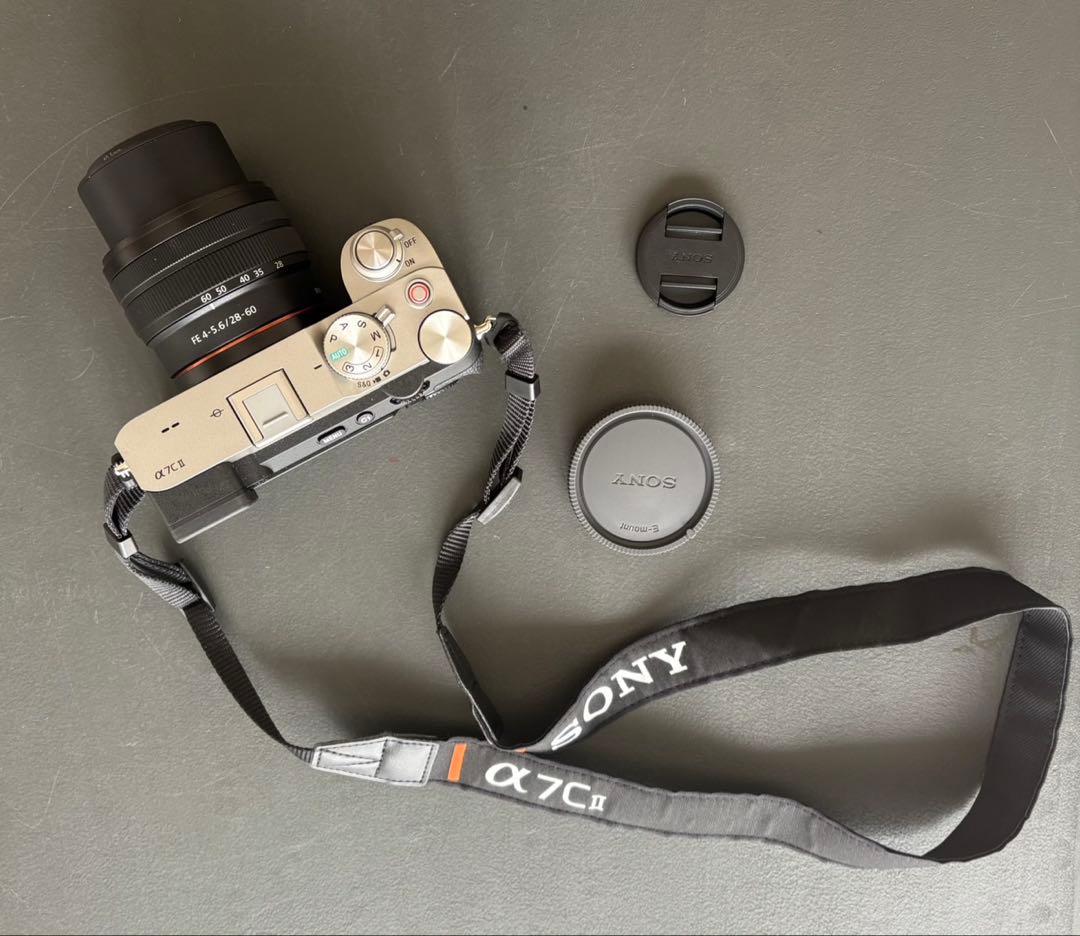 SONY α7C II（ILCE-7CM2） シャッター回数181回