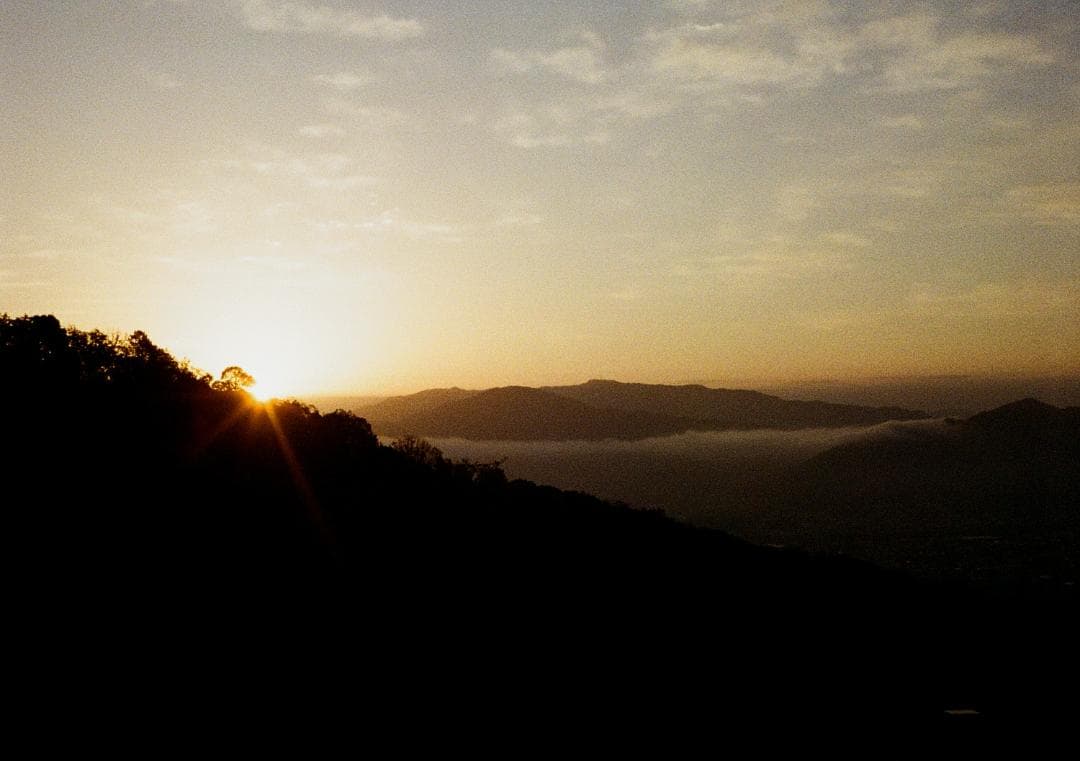 オリンパスペンD 実写済み OLYMPUS PEN D