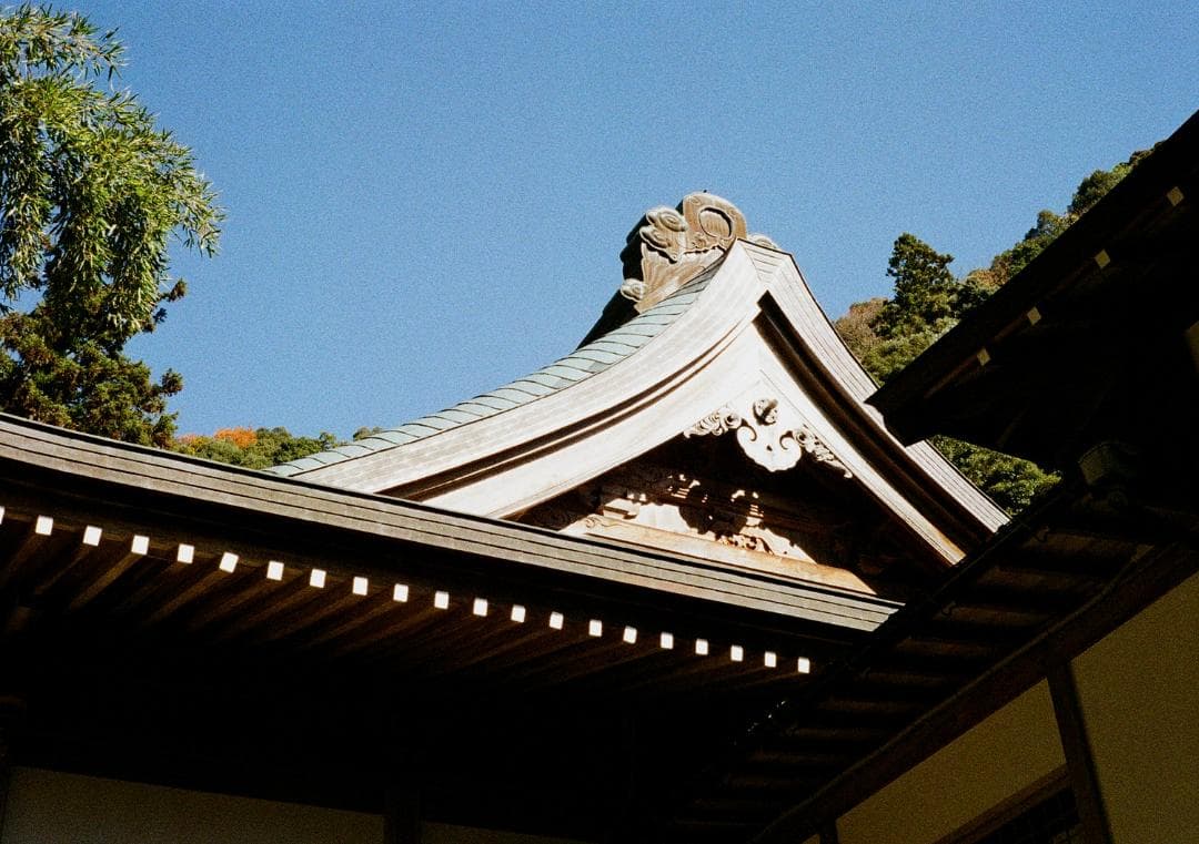 オリンパスペンD 実写済み OLYMPUS PEN D