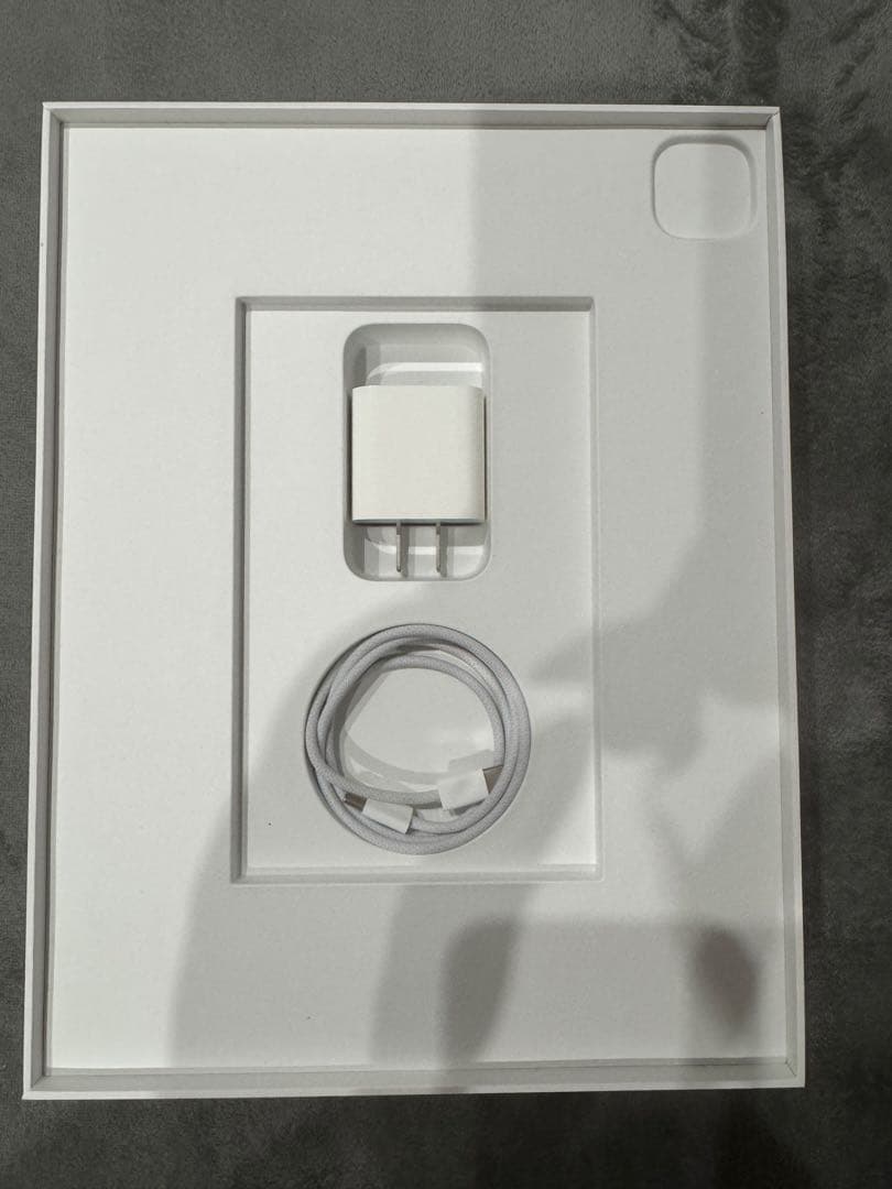 Milan【美品】 iPadPro12.9インチ第4世代256GB