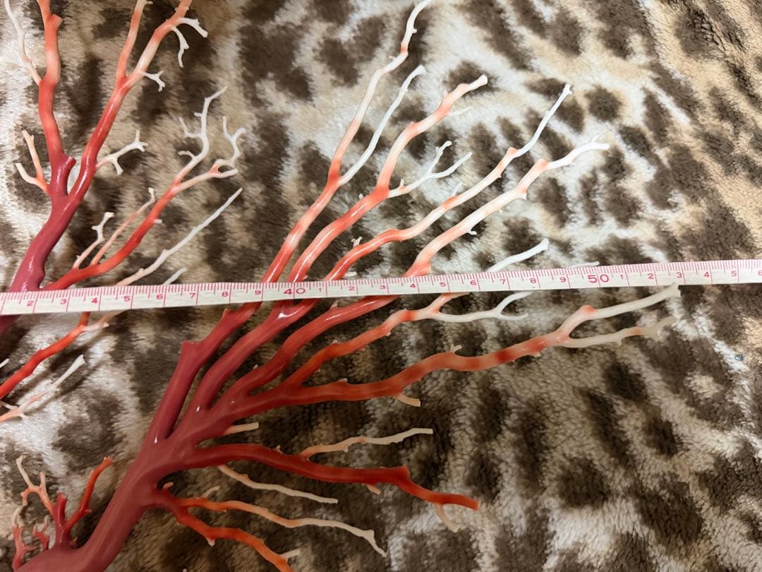 珊瑚　原木　置物