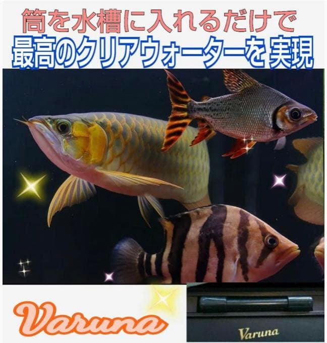 水槽の水が綺麗になります【ヴァルナミニ】有害物質を強力抑制し透明度が抜群に！