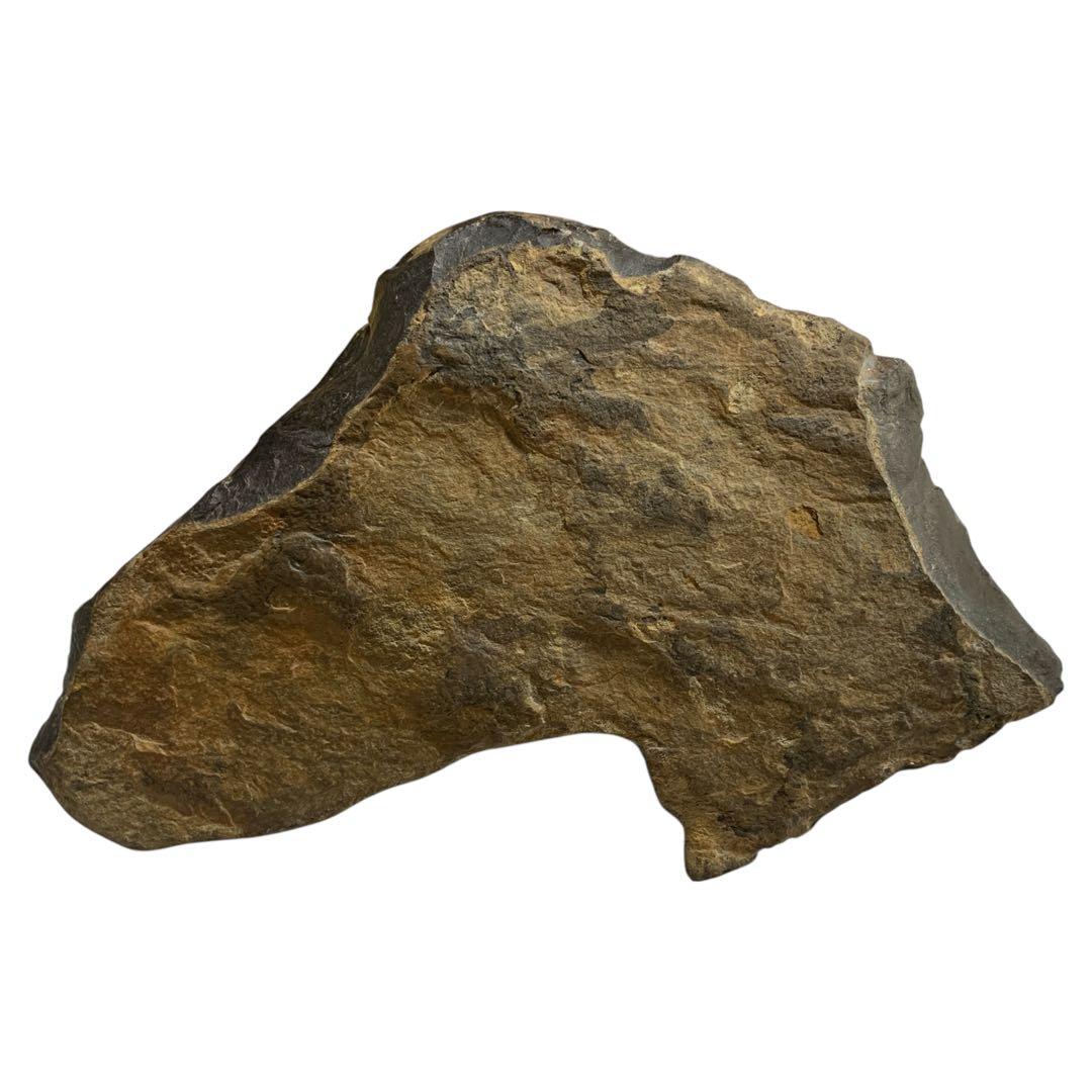 只見川石 鑑賞石 水石 盆石