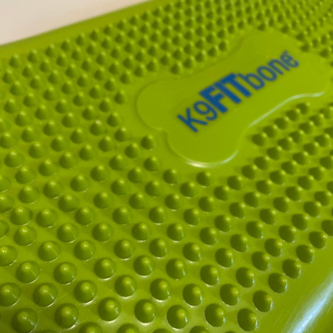 K9 FITbone CanineGym® 犬用 バランスボール　トレーニング