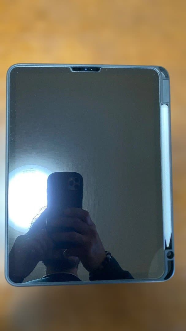 Đ*i様 レ*ー様 iPad Pro 11 256GB everything O