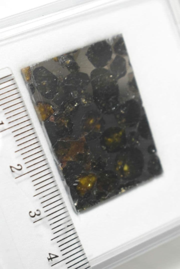 セリコ隕石（隕鉄、パラサイト隕石）