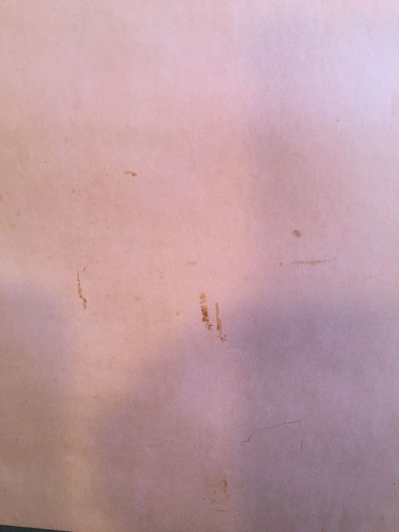 山口小夜子　1983年　資生堂ポスター　ビンテージ