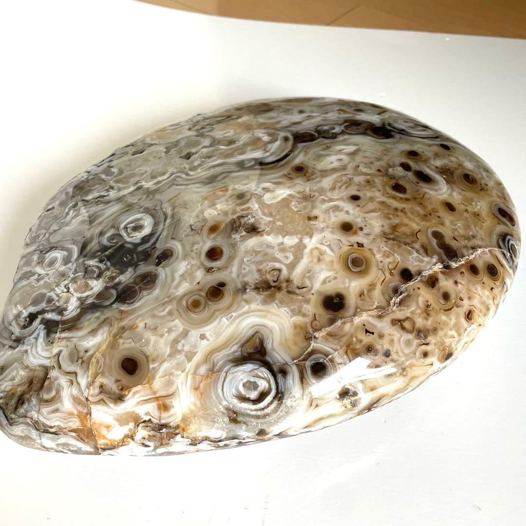 【デカい‼️】オーシャンジャスパー or ツリテラアゲート21㎝×26㎝×6㎝