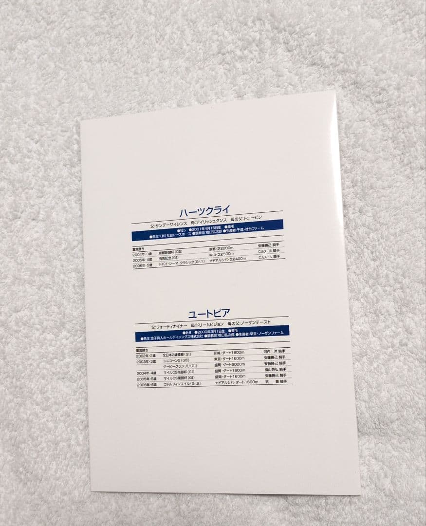 記念品　ハーツクライ ユートピア 競馬　dubai worldcup 2006
