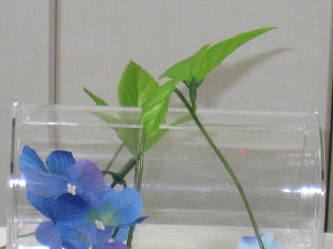 Canon カメラ　IXY 510IS PC1356 ゴールド コンデジ　動作品