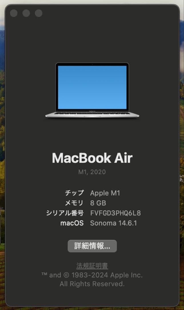 MacBook本体 Apple MacBook Air(M1, 2020) 8GB/512GB