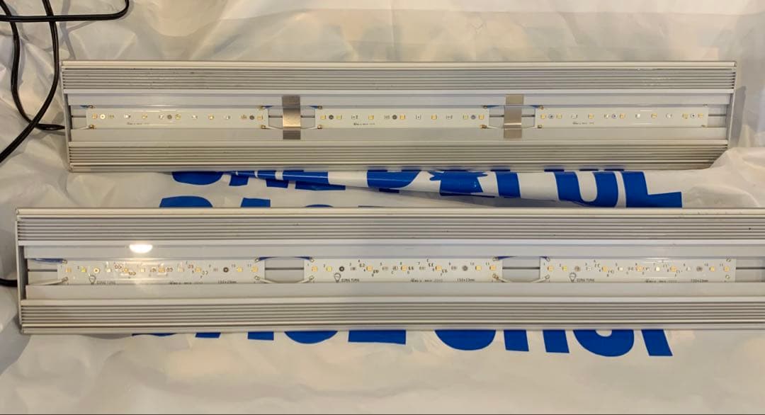 アクロ　トライアングルグロウ　60 セット売り