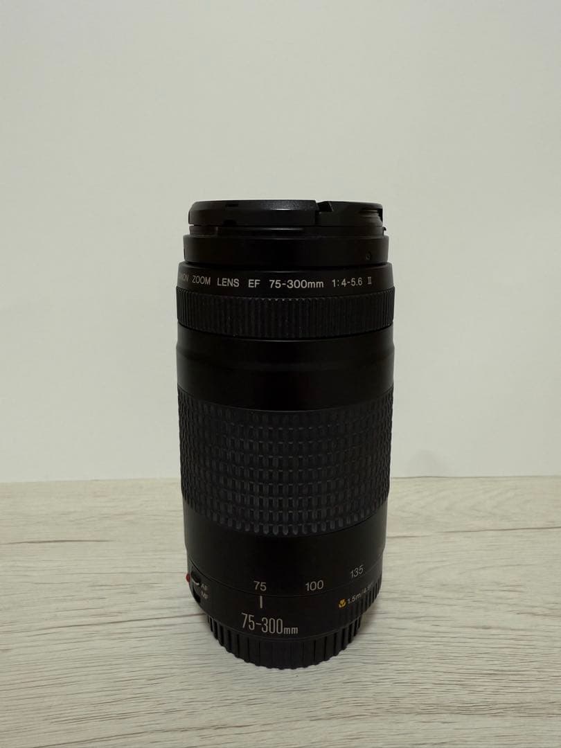 Canon EOS Kiss X10+75-300mmレンズ