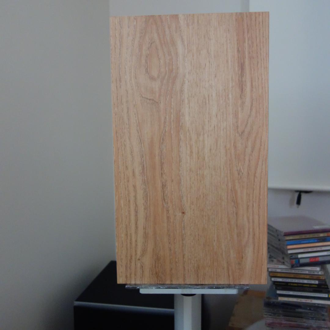 ★☆彡 FOCAL CHORA 806 ライトウッド　ペア　フランス製