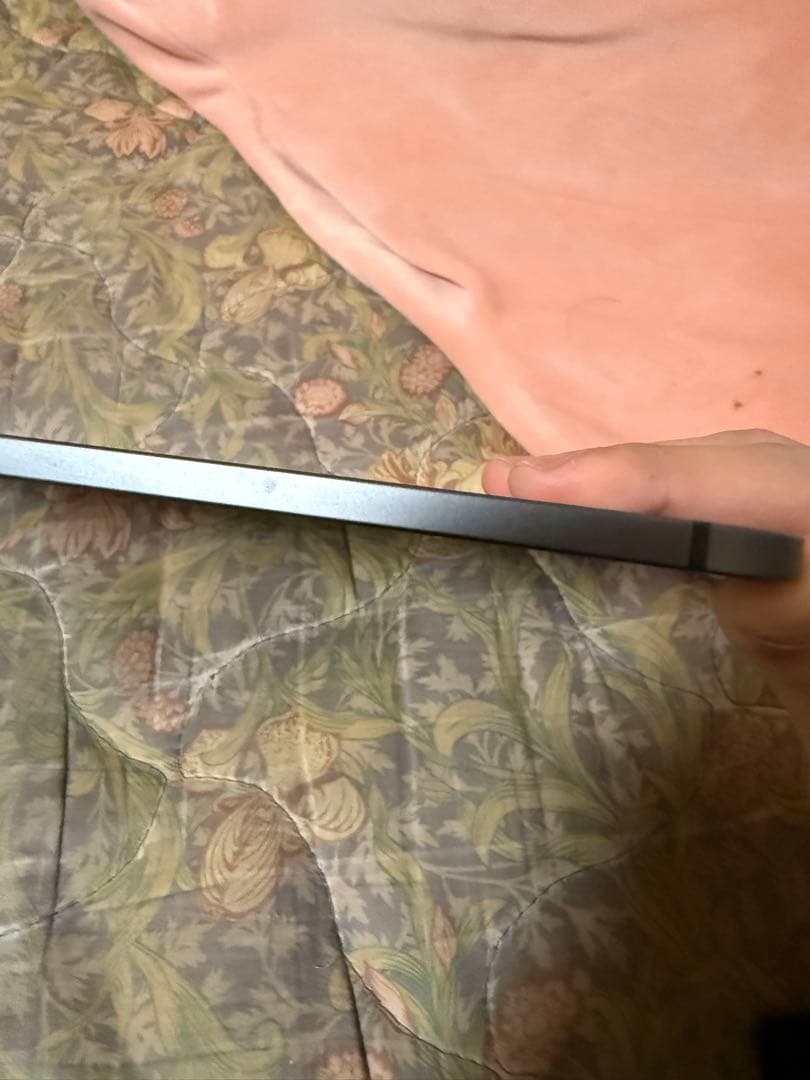 Apple iPad Pro 11インチ 256GB M4