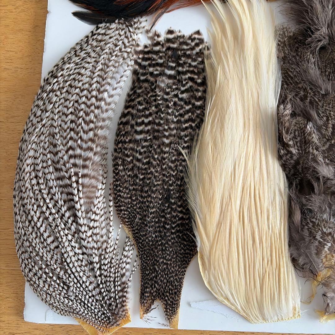 フライマテリアル　羽毛系