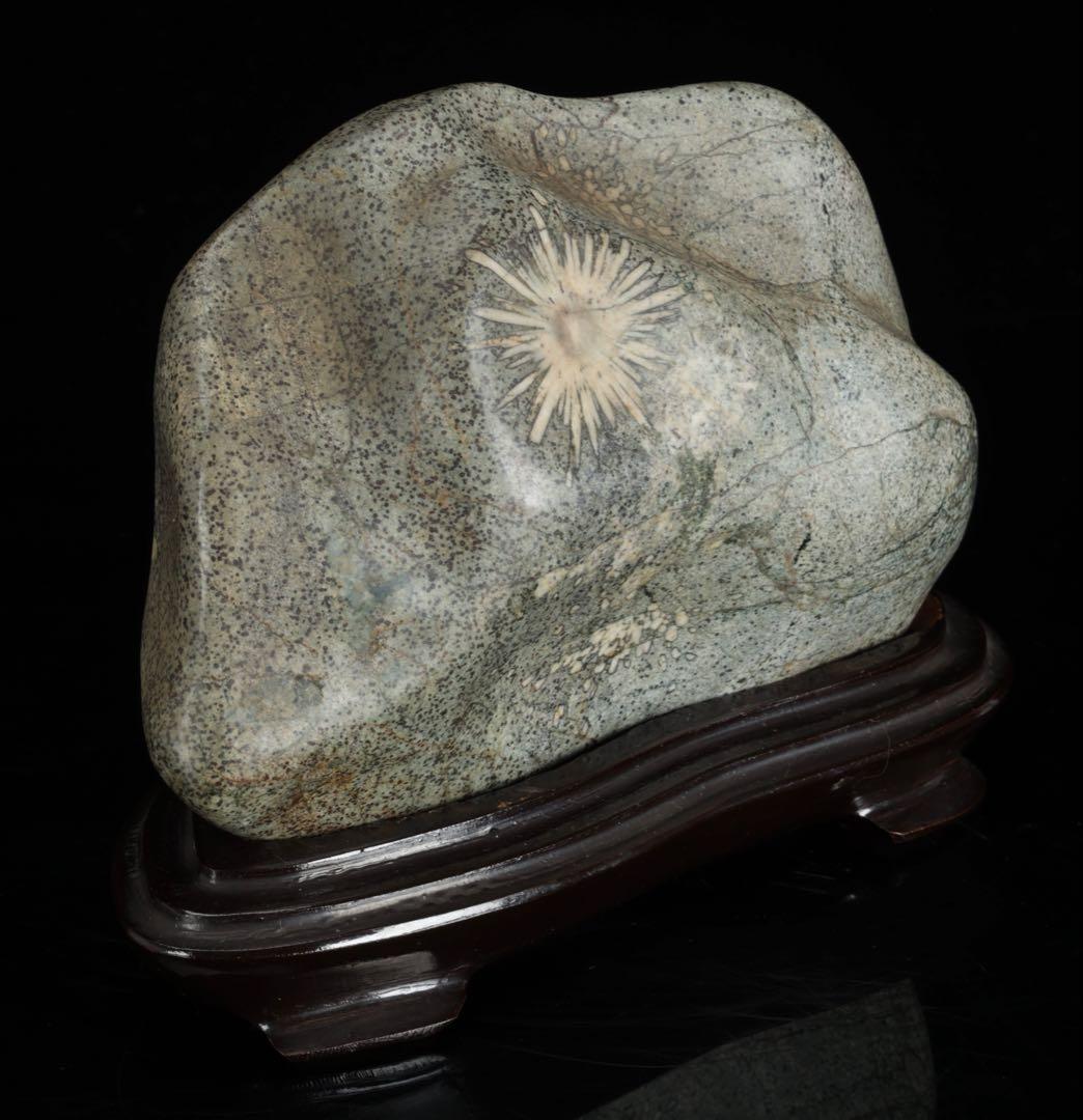 菊花石 紋石 台座付 1.7kg 鑑賞石 原石 自然石 美石 水石 盆石 飾石