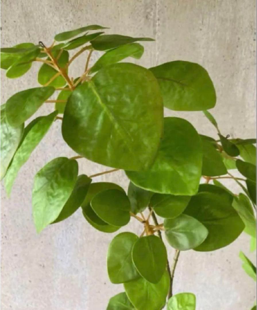 光触媒　人工観葉植物　ウォールグリーン　フェイクグリーン　ナンキンハゼ12343
