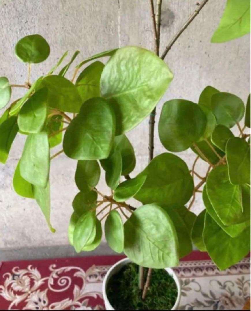 光触媒　人工観葉植物　ウォールグリーン　フェイクグリーン　ナンキンハゼ12343