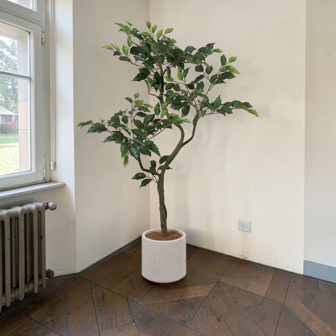 光触媒　人工観葉植物　ウォールグリーン　フェイクグリーン　ベンジャミンポット@p