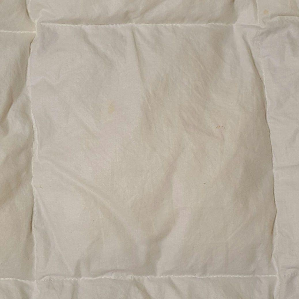 チェコ ピルスナー産 マザー グース ダウン　シェーンベルグ カウフマン