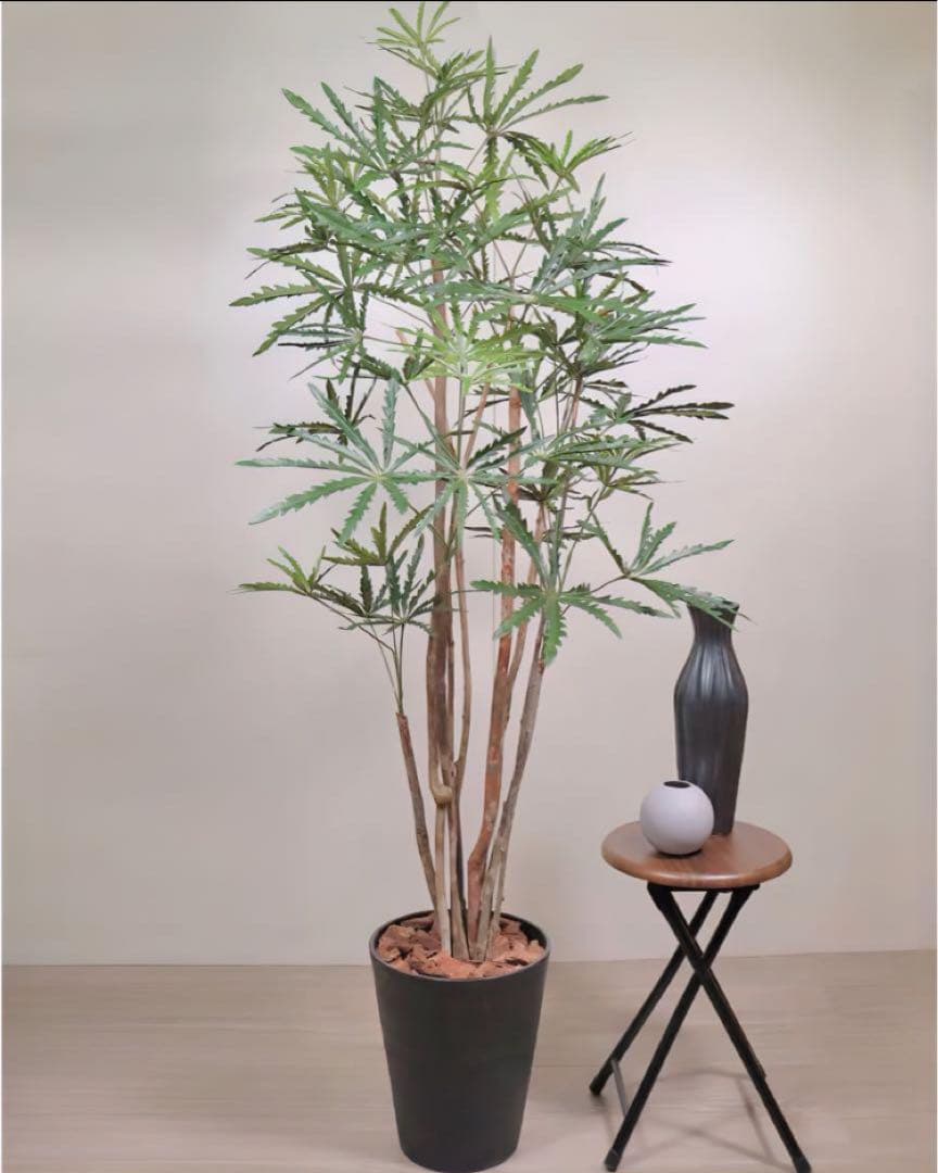 光触媒　人工観葉植物　ウォールグリーン　フェイクグリーン　アラレアgtj