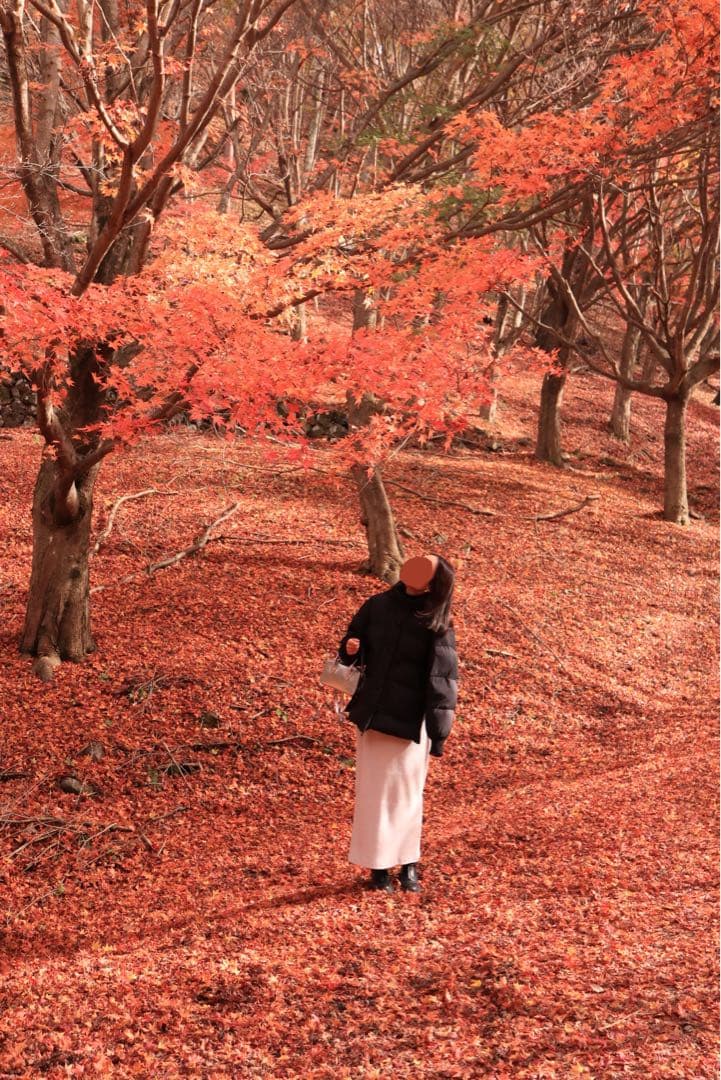 【専用】中森様　Canon EOS kiss M2ミラーレスカメラ ホワイト