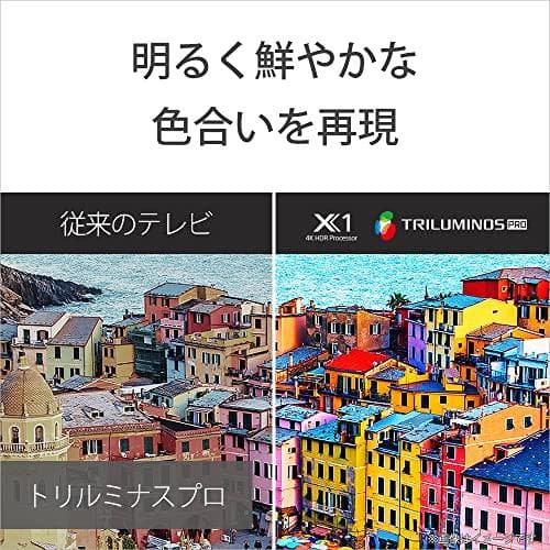 新品★ソニー 55V型 4K対応 液晶テレビ　ブラビア【KJ-55X80L】